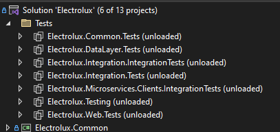 Electrolux solution test projects hierarchy in Visual Studio Solution Explorer