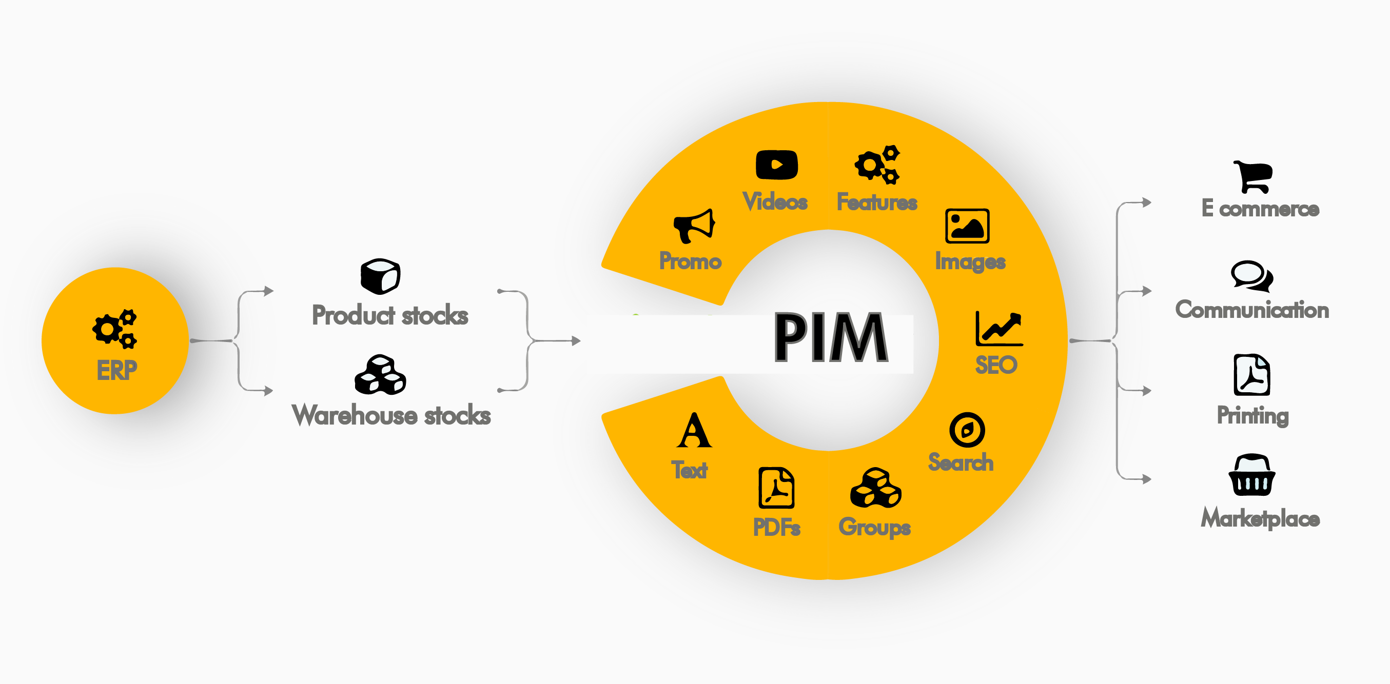 what is a pims