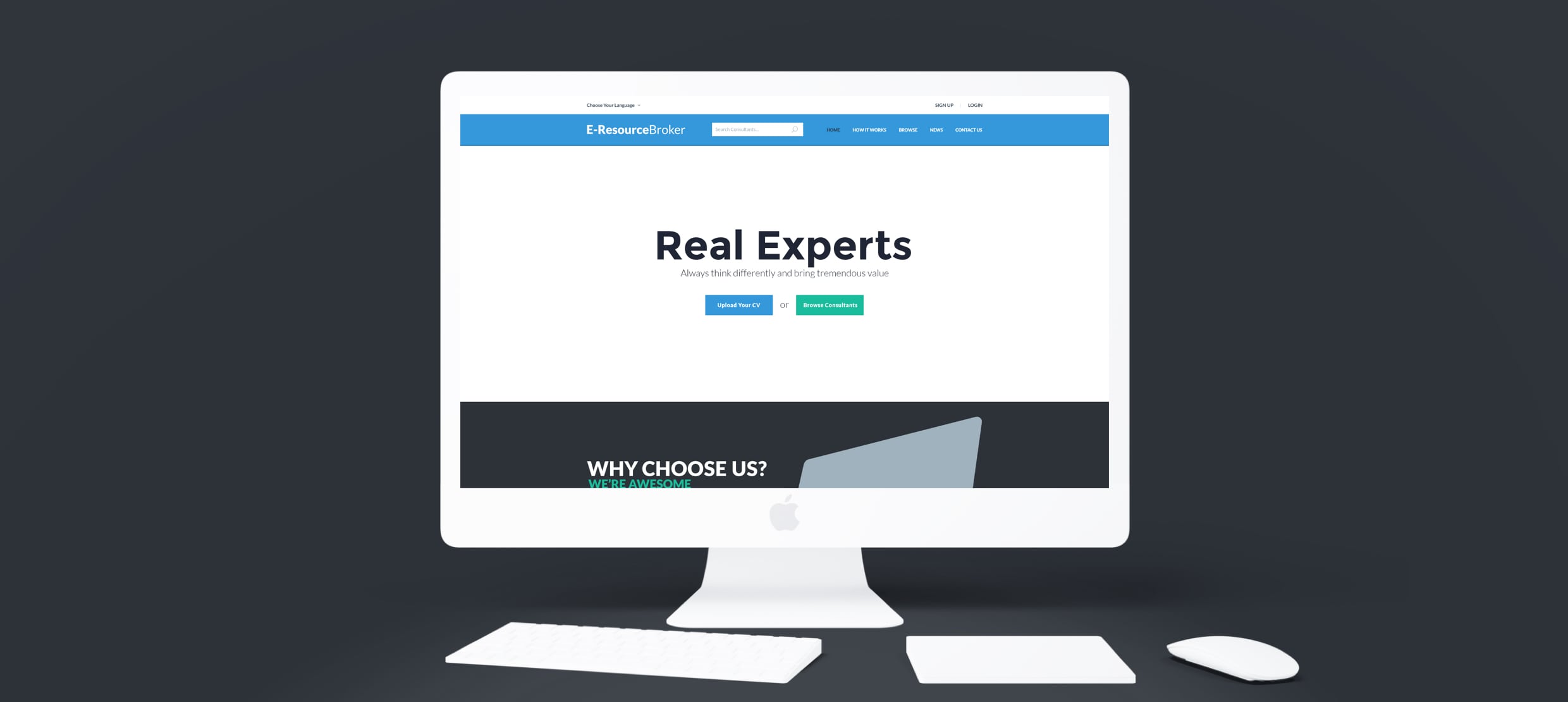 E-ResourceBroker platform showcasing Real Experts and consultant browsing options
