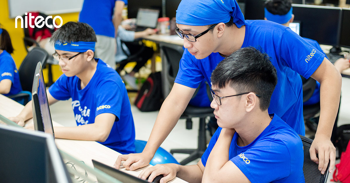 Niteco team collaborating on software development in a modern office environment